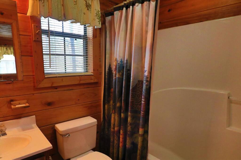 Mountain Cabin 2B Jacuzzi #10 Helen Dış mekan fotoğraf