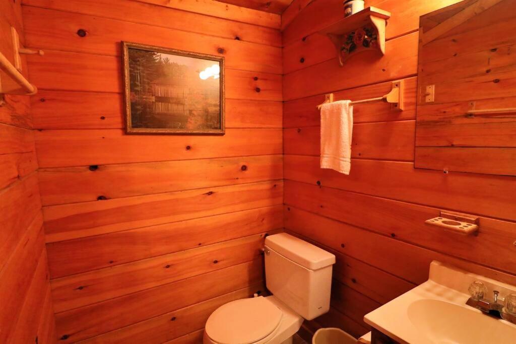 Mountain Cabin 2B Jacuzzi #10 Helen Dış mekan fotoğraf