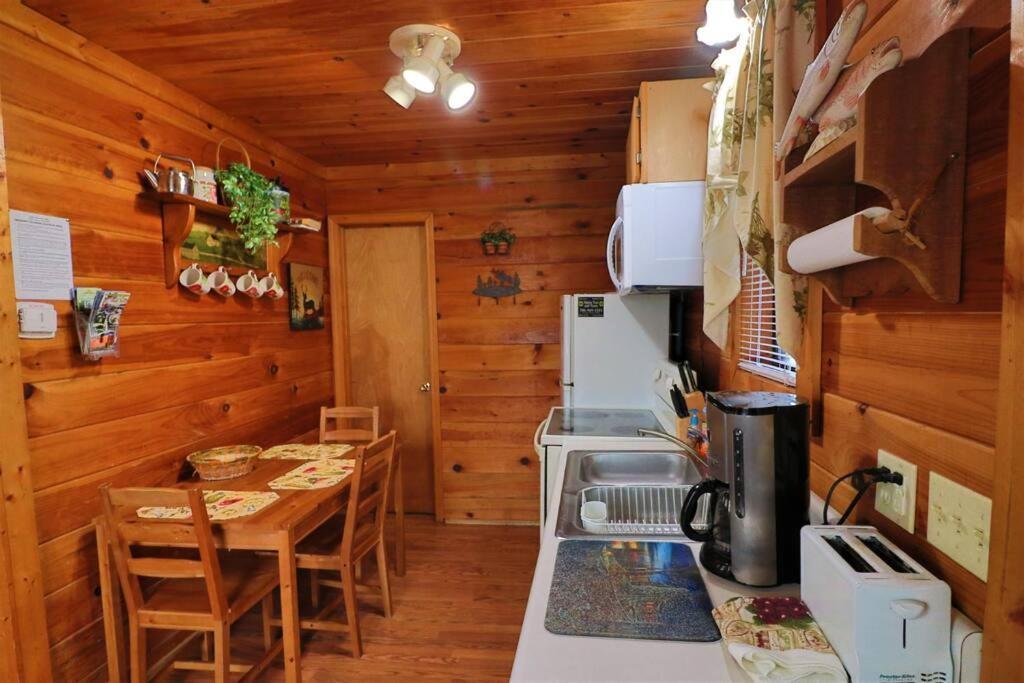 Mountain Cabin 2B Jacuzzi #10 Helen Dış mekan fotoğraf