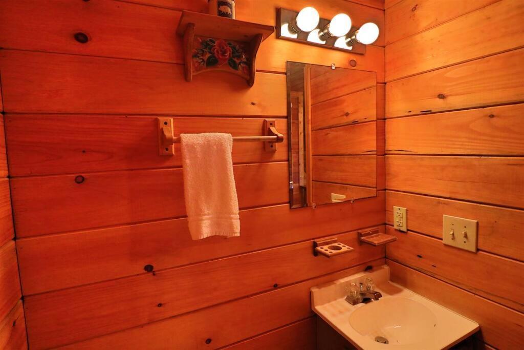 Mountain Cabin 2B Jacuzzi #10 Helen Dış mekan fotoğraf