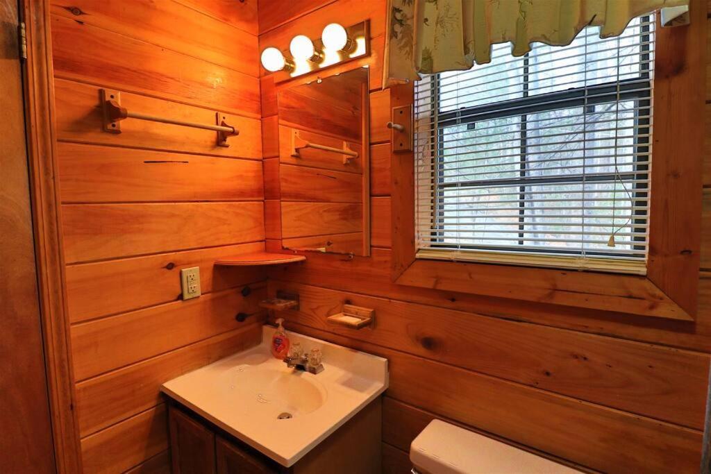 Mountain Cabin 2B Jacuzzi #10 Helen Dış mekan fotoğraf